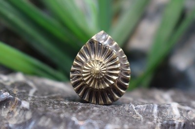 امونیت پرومسراز