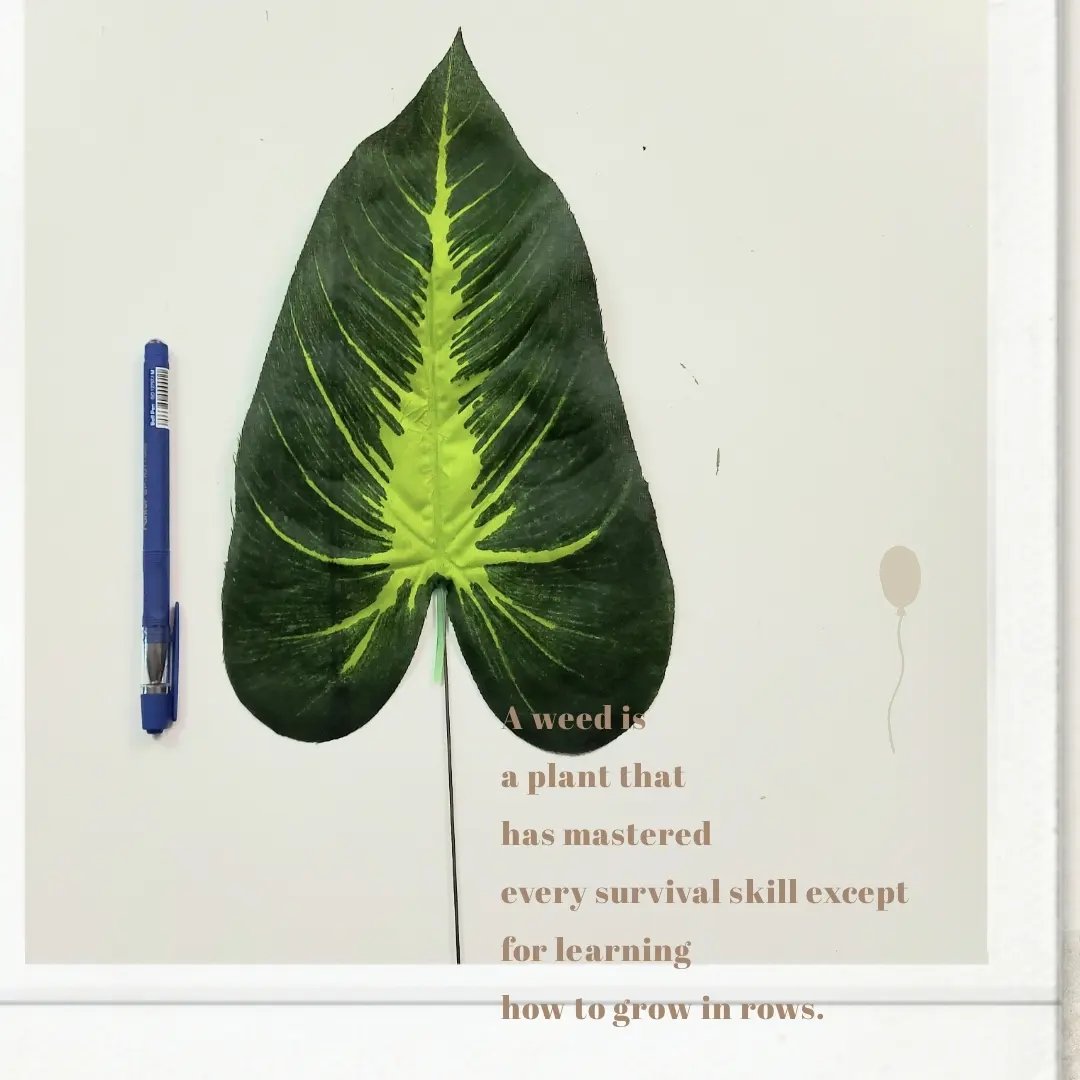 برگ پتوس مصنوعی بسته پنج عددی