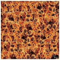 دستمال سر و گردن مدل H1-10153