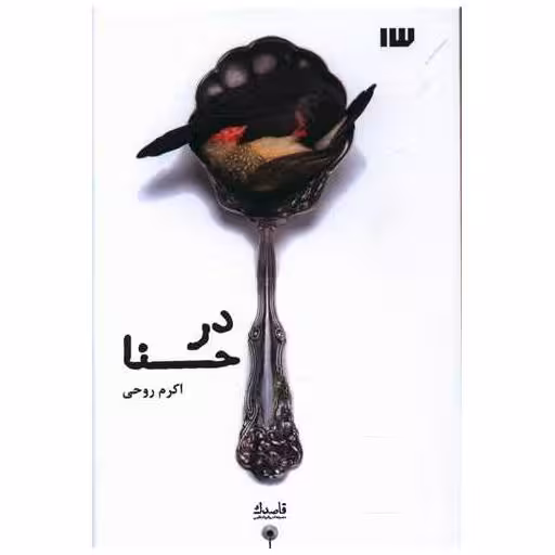 کتاب در حنا اثر اکرم  روحی