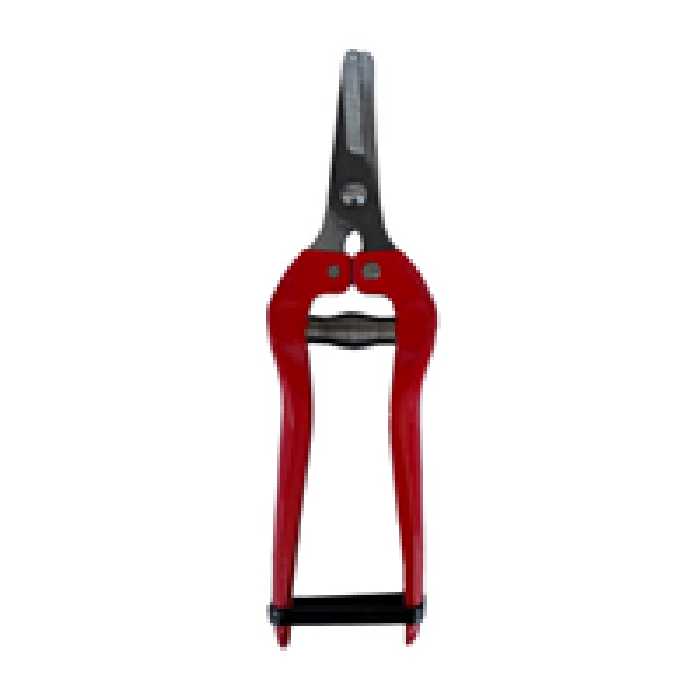 قیچی میوه چینی مدل M1704