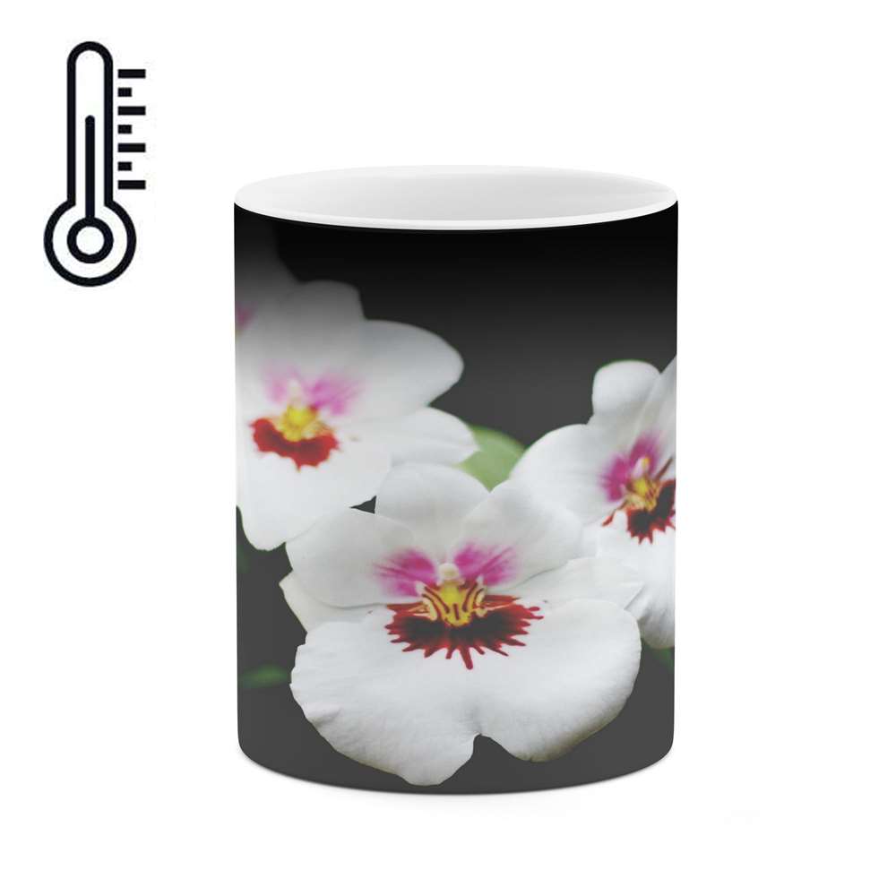 ماگ حرارتی کاکتی طرح گل مدل mgh16665