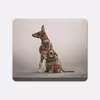 ماوس پد مدل Playful Dogs