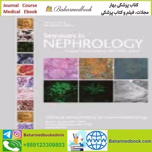 Seminars in Nephrology Volume 42 Issue 1 to 6 2023 TRUE