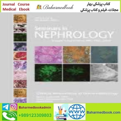 Seminars in Nephrology Volume 42 Issue 1 to 6 2023 TRUE