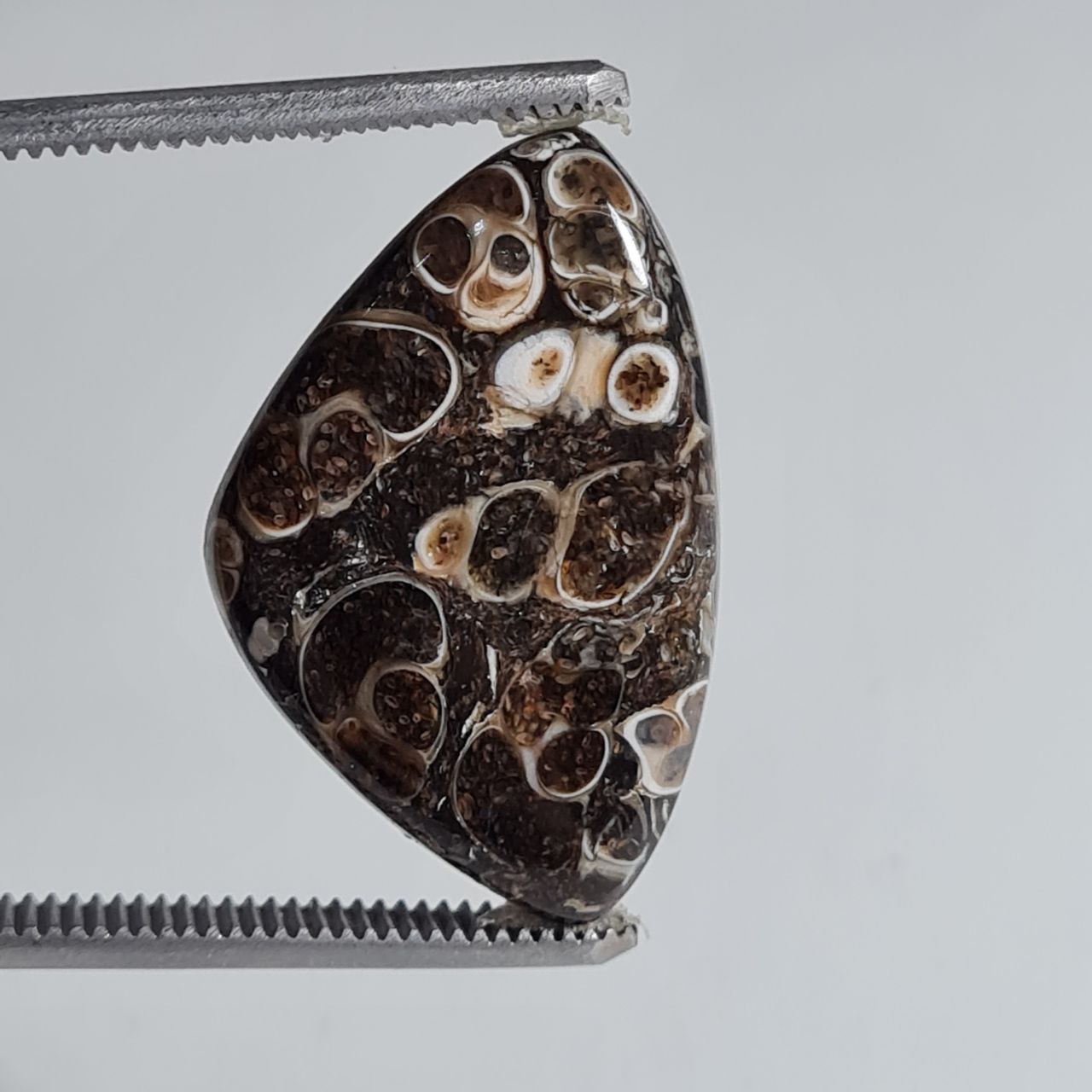 نگین ترتلا جاسپر اصل 5032