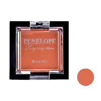 پنلوپه سایه تکی رژ گونه 11 گرم مدل G906