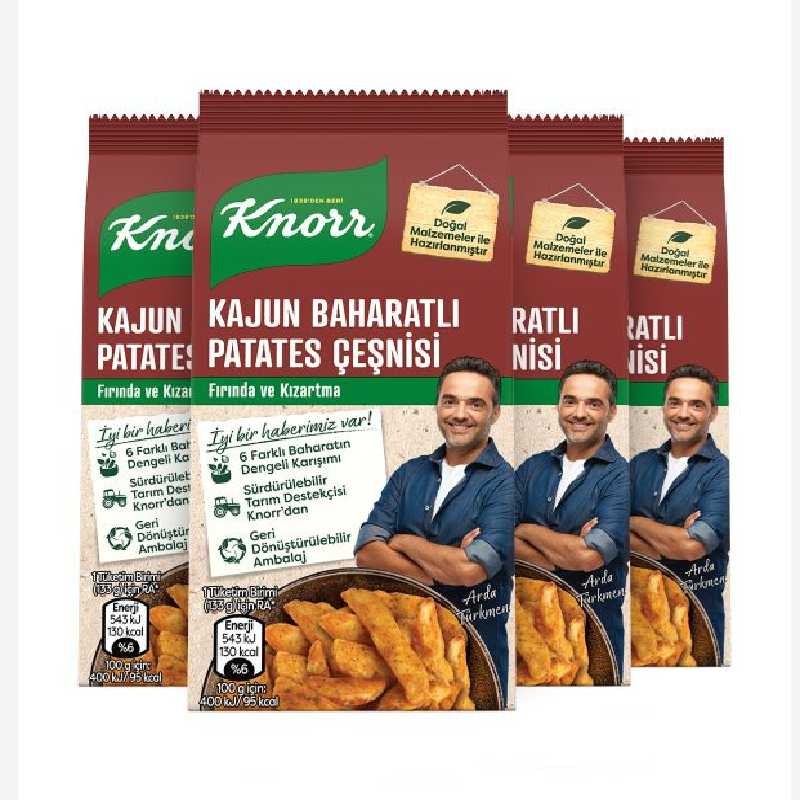 ادویه و طعم دهنده سیب زمینی کنور اصلی