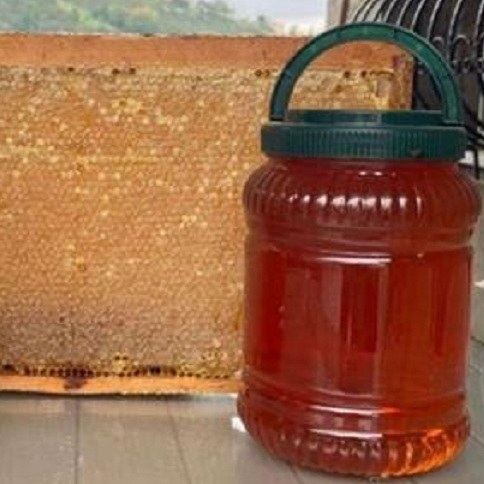 عسل مرکبات500گرمی محصول باغات مرکبات بابل