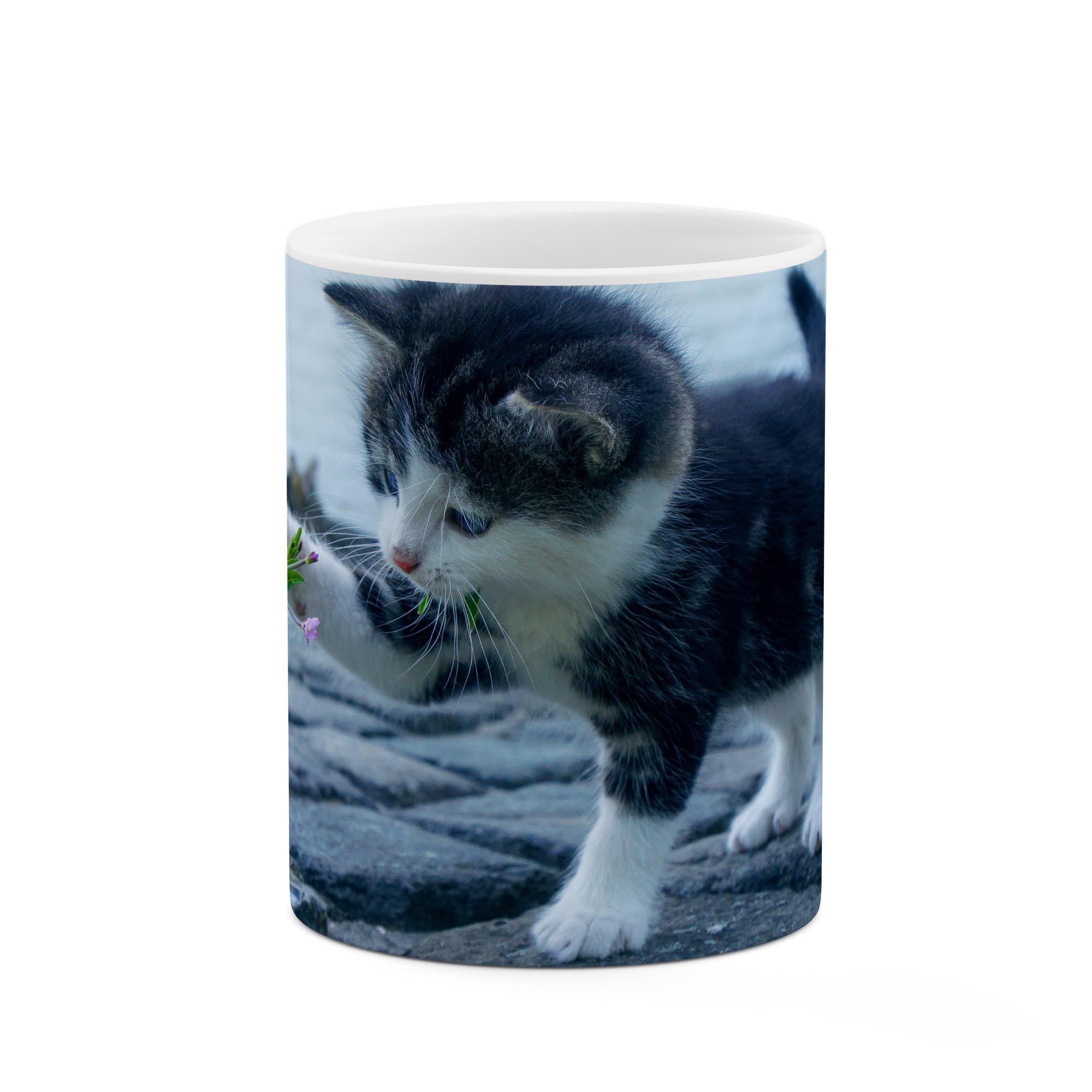 ماگ طرح گربه مدل mgp03023