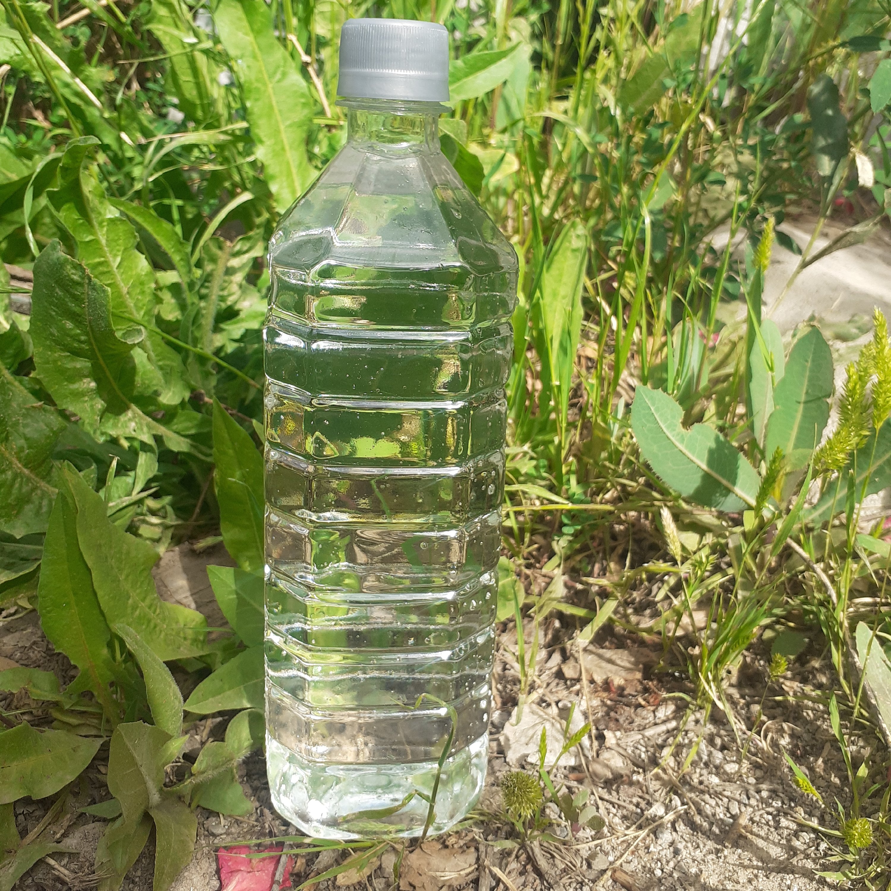 عرق سنبل الطیب