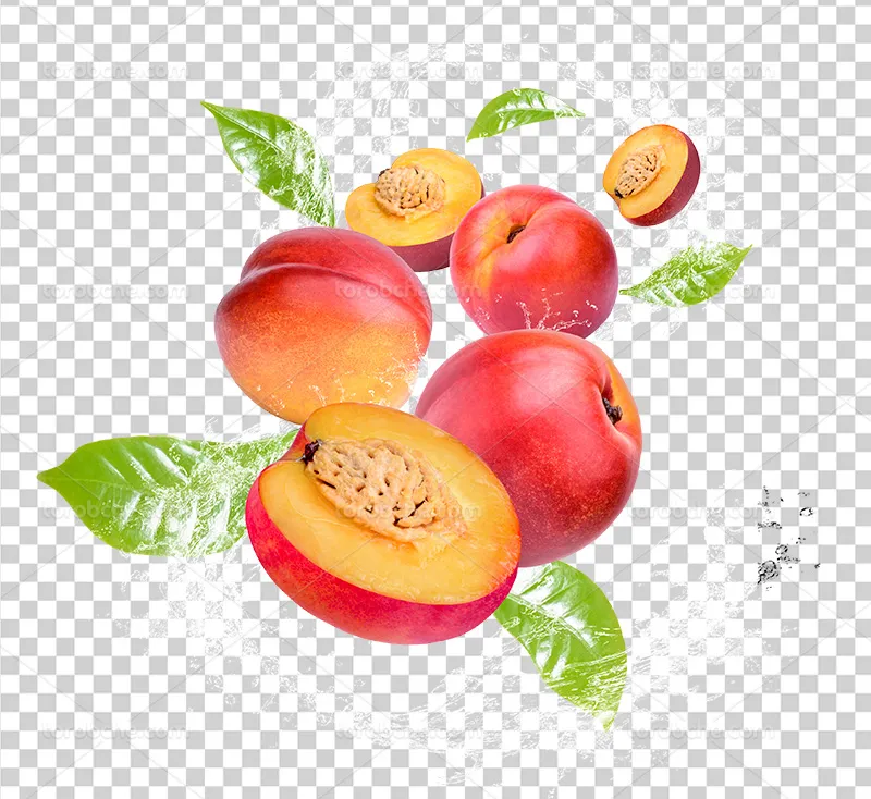 عکس PNG شلیل برای طراحی بسته‌بندی میوه | گرافیک با طعم تربچه