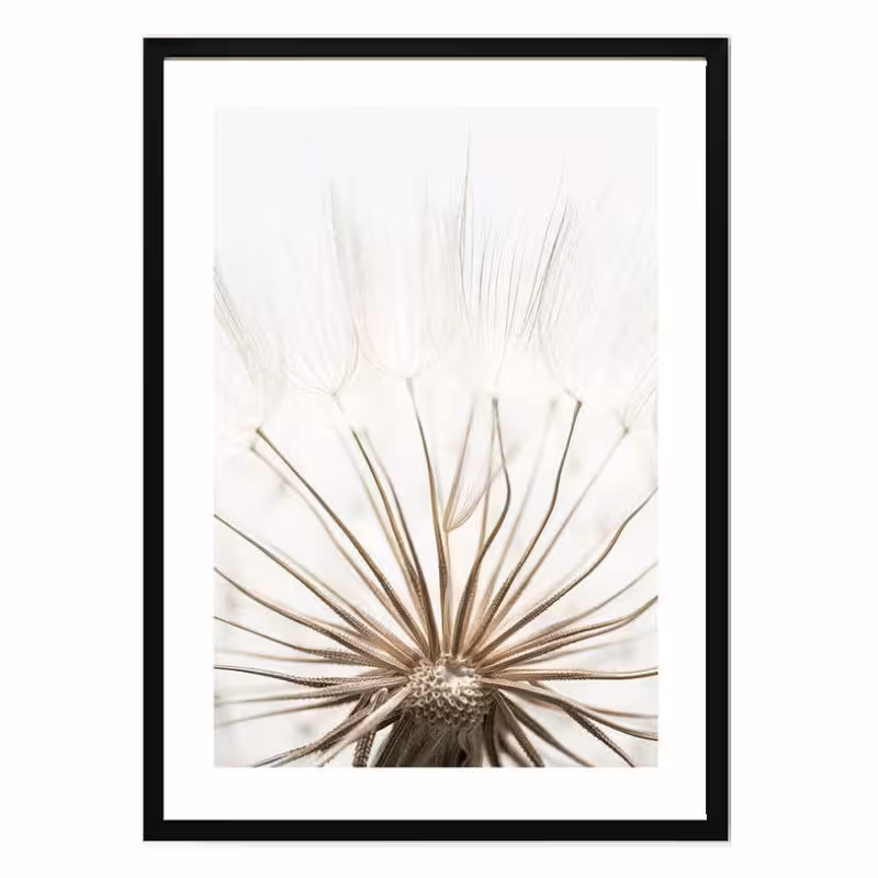 تابلو مدل Dandelion کد 248901321 | دنیای قاب