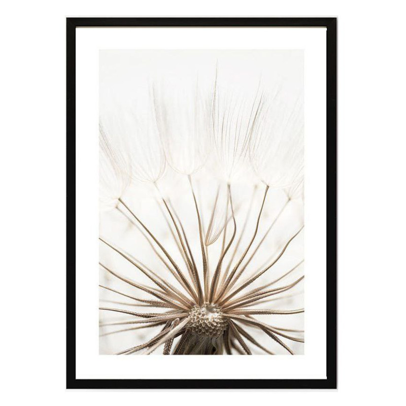 تابلو مدل Dandelion کد 248901321 | دنیای قاب