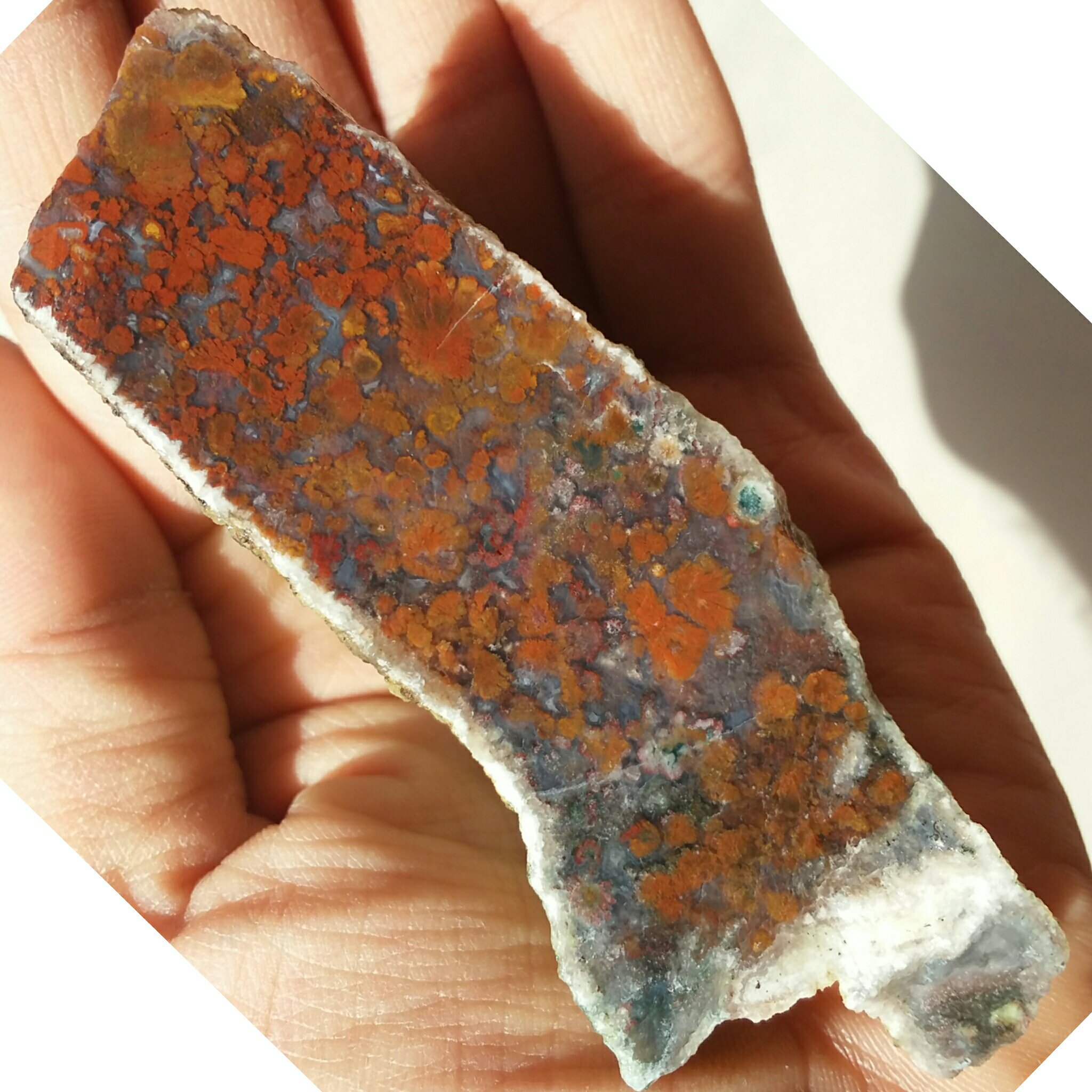 اسلایس سنگ راف شجر منظره 7رنگ کمیاب دیدنی کاملا طبیعی شاهکاااار خلقت بی نظییر