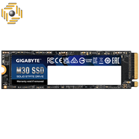 حافظه SSD اینترنال گیگابایت مدل M30 ظرفیت 512 گیگابایت