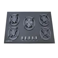 اجاق گاز صفحه ای جانا مدل G501C