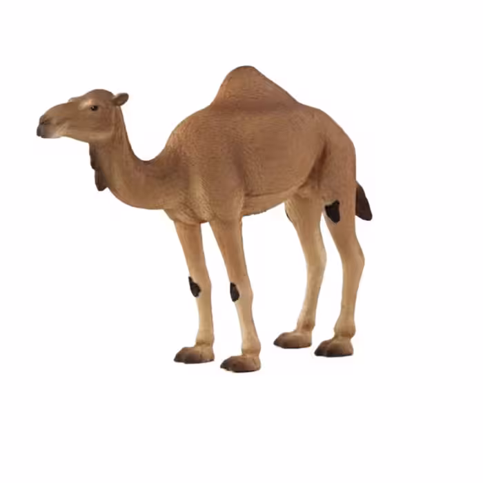فیگور حیوانات مدل شتر کد 387113