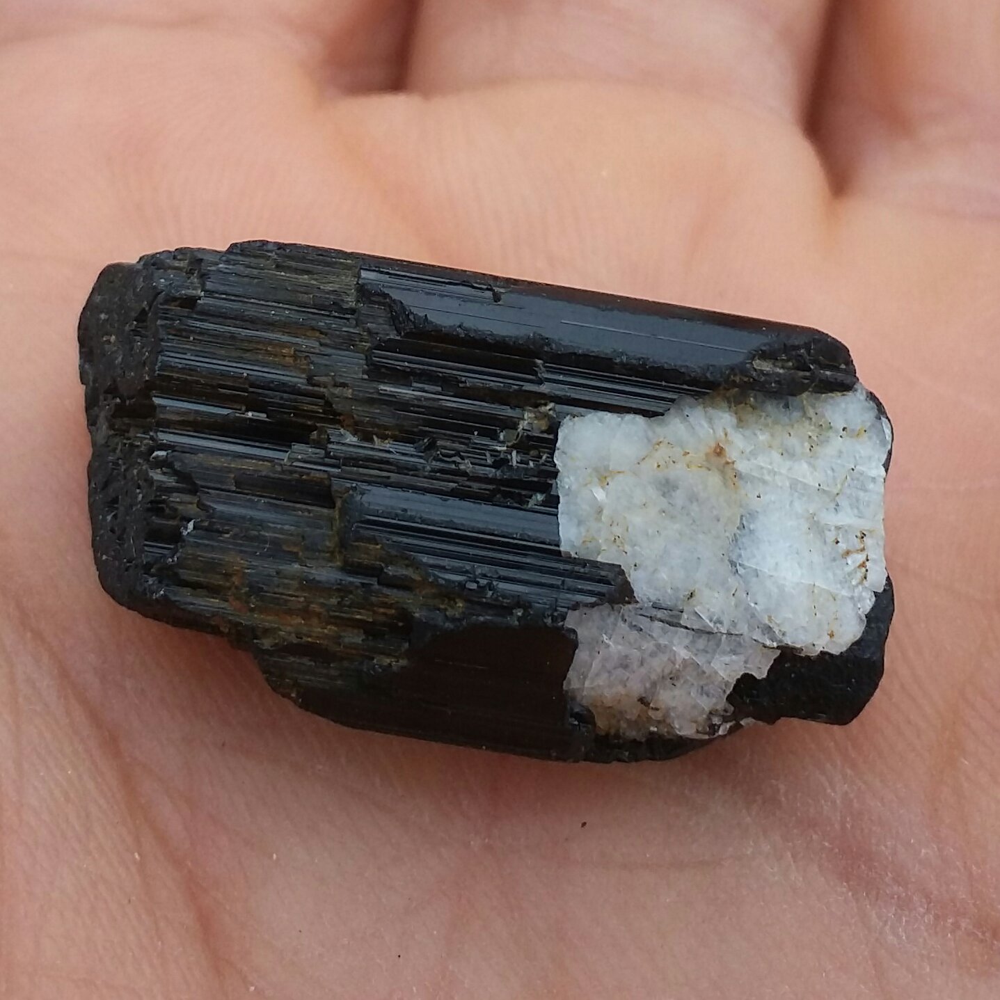 سنگ راف تورمالین شرول وارداتی ارزشمند شاهکار خلقت 100درصد طبیعی
مناسب جهت کلکسیون و ساخت نگین کد 8476