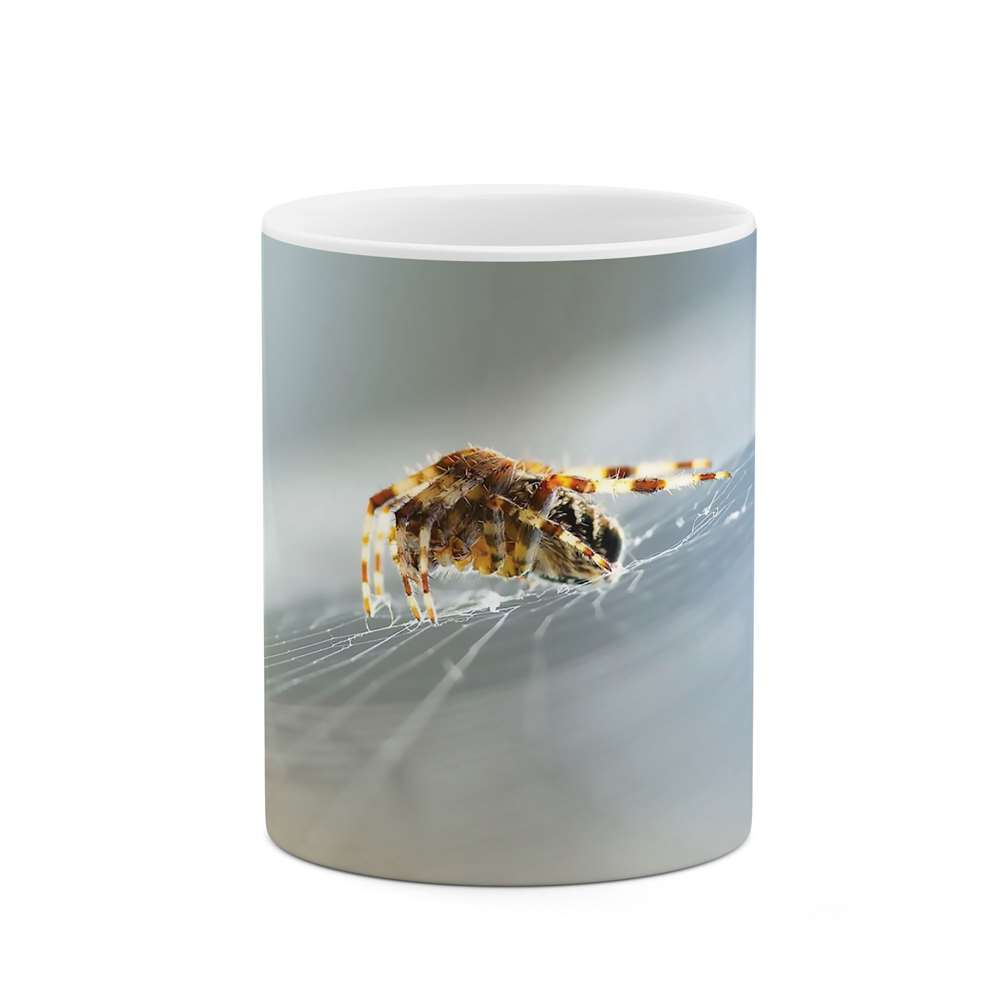 ماگ طرح عنکبوت مدل mug04010