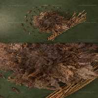 بک دراپ نوزاد | گرافیک با طعم تربچه