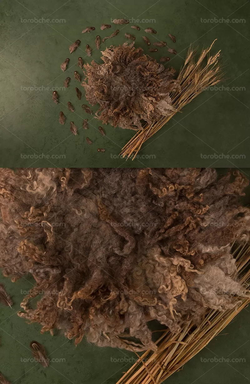 بک دراپ نوزاد | گرافیک با طعم تربچه