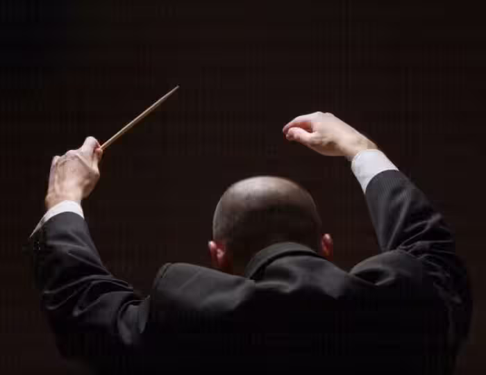 خرید و دانلود عکس Collection of images of conductors کد 13120 | پیک فاکس | Pic Fox