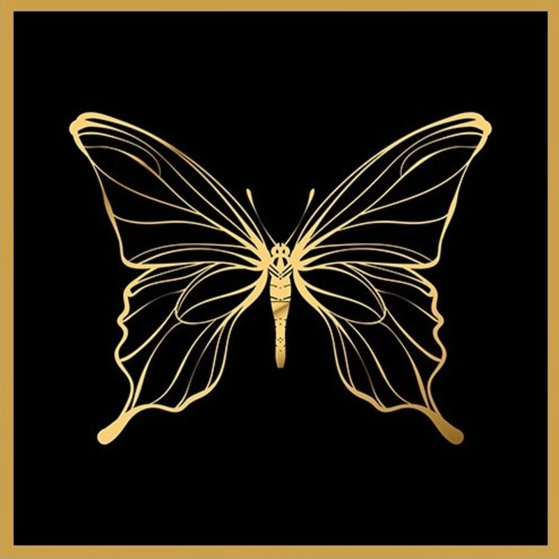 تابلو مدل پروانه کد 105 | دنیای قاب
