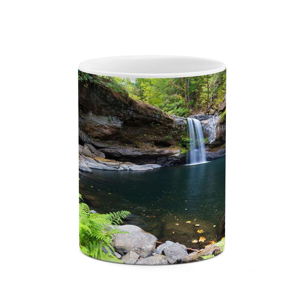 ماگ کاکتی طرح منظره مدل mgs15786