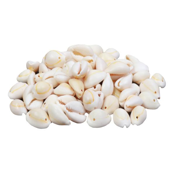 صدف تزیینی کد 5455 وزن 200 گرم 