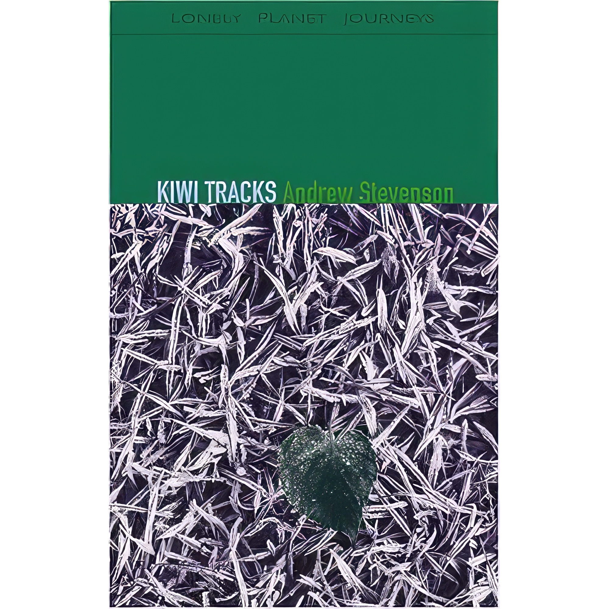 کتاب Kiwi Tracks اثر Lonely Planet انتشارات Lonely Planet Publications