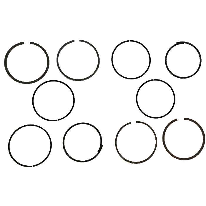 رینگ موتور پرفکت مدل STD مناسب برای پژو 405 بسته 20 عددی