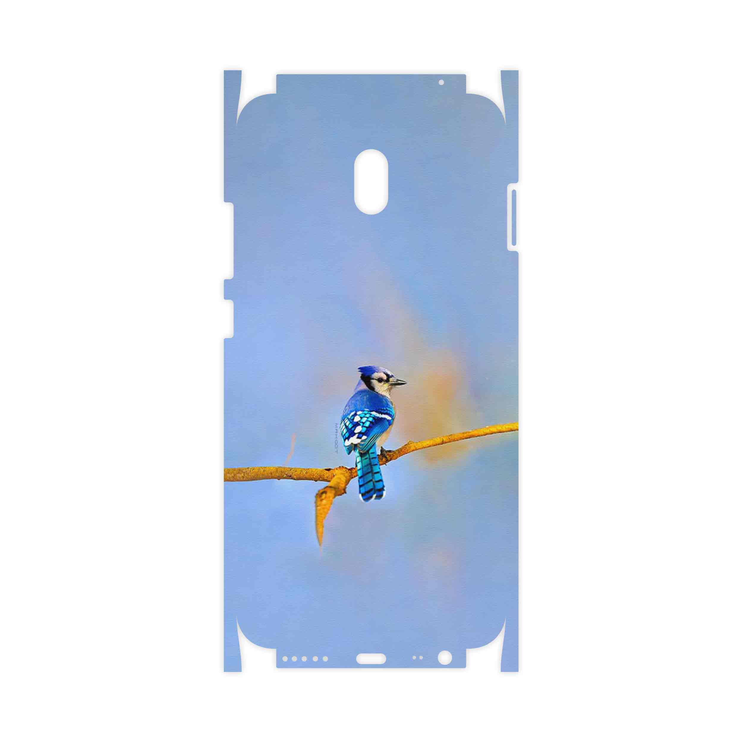 برچسب پوششی ماهوت مدل Cyanocitta cristata-FullSkin مناسب برای گوشی موبایل شیائومی Redmi 8A