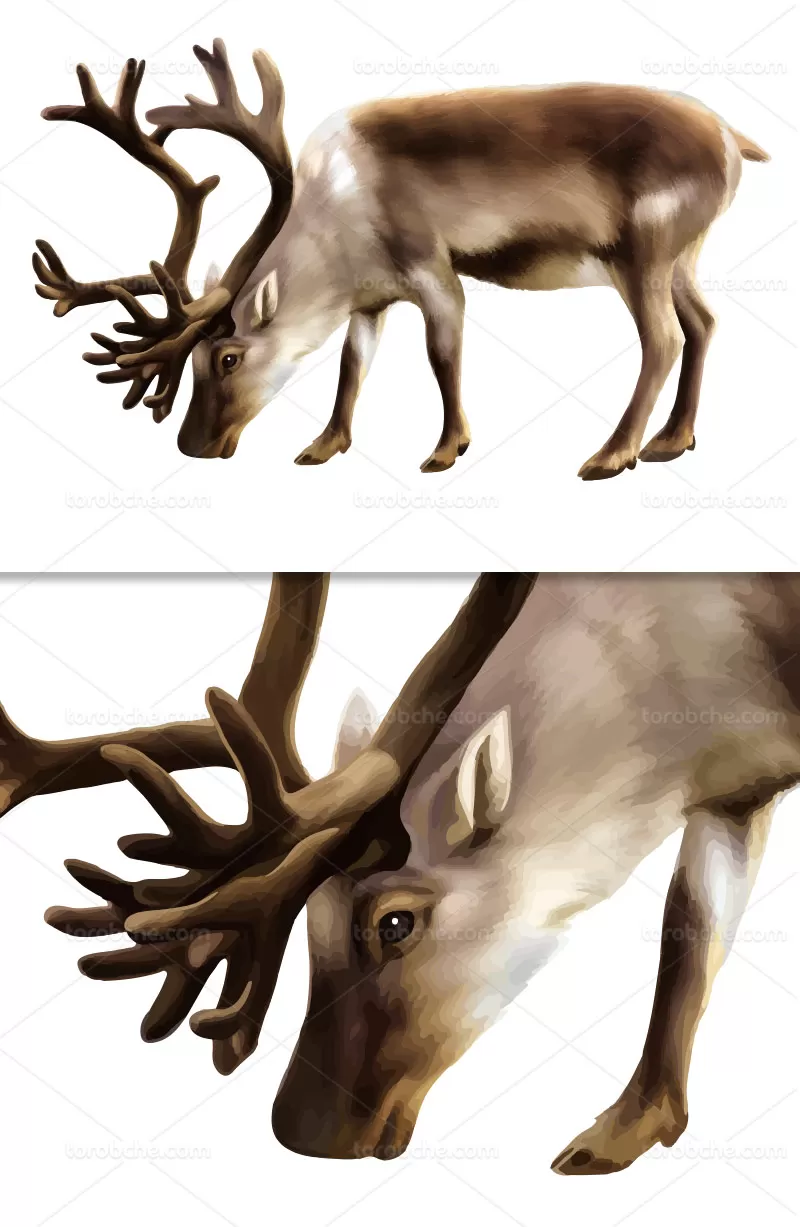 وکتور لوگو گوزن انتزاعی | گرافیک با طعم تربچه