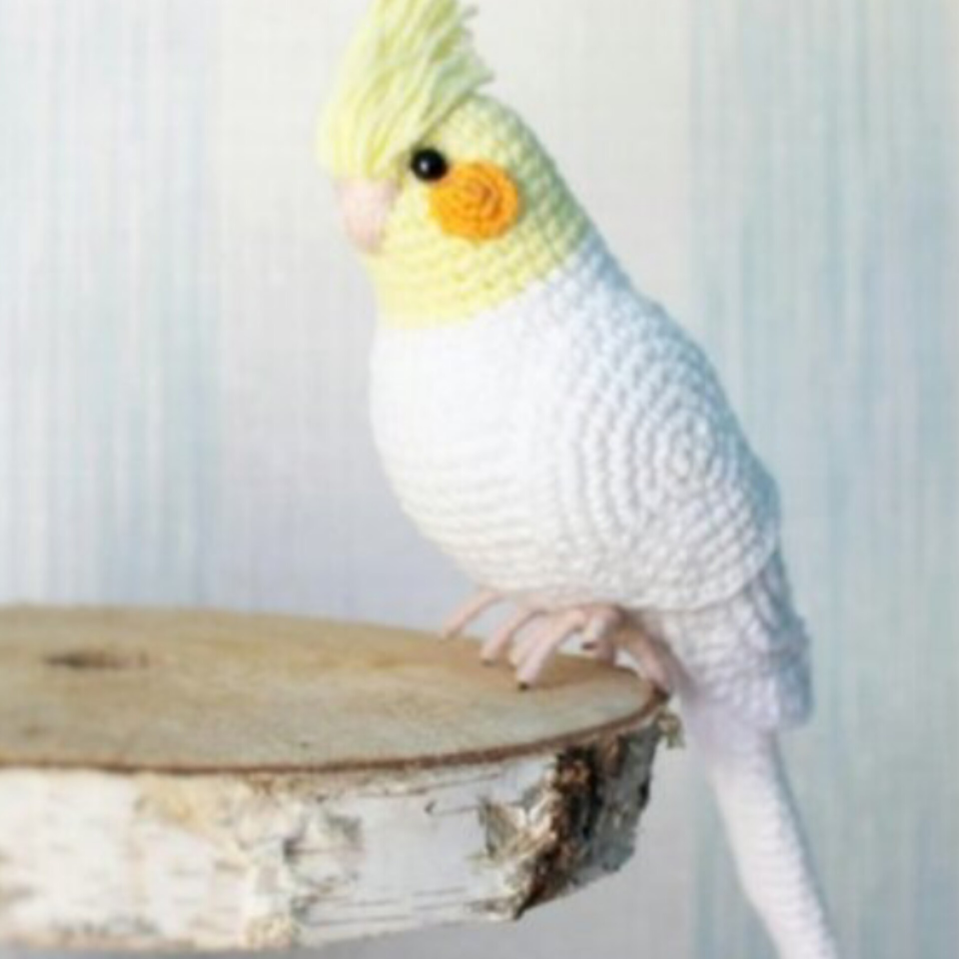 عروس هلندی بافتنی