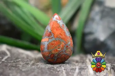 مرجان فسیلی