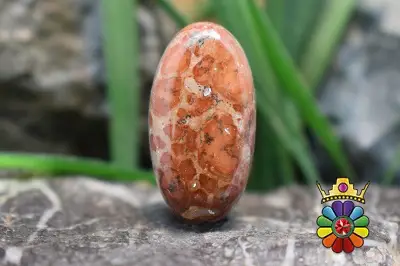 کافی بین جاسپر