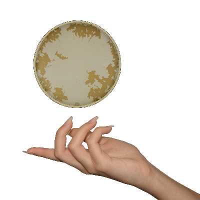 ماکت دکوری کادووین طرح دف مدل D1