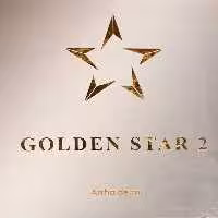 کاغذ دیواری گلدن استار GOLDEN STAR 2