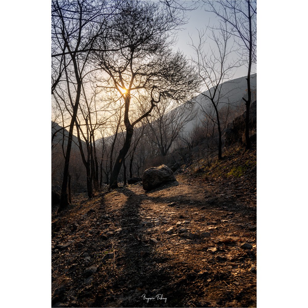 تابلو شاسی کد benpics-0119 (ابعاد 50x70 - شاسی 8 میل-کاغذ سیلک-اصالت تصویر)