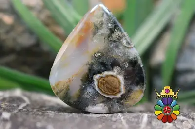 جاسپر اقیانوسی