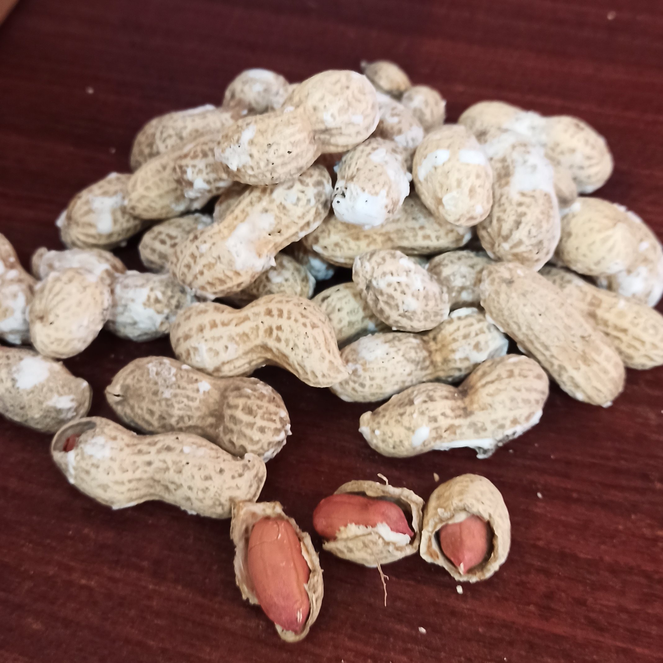 بادام زمینی با پوست(غلافدار)آستانه 1کیلویی محصول 1403