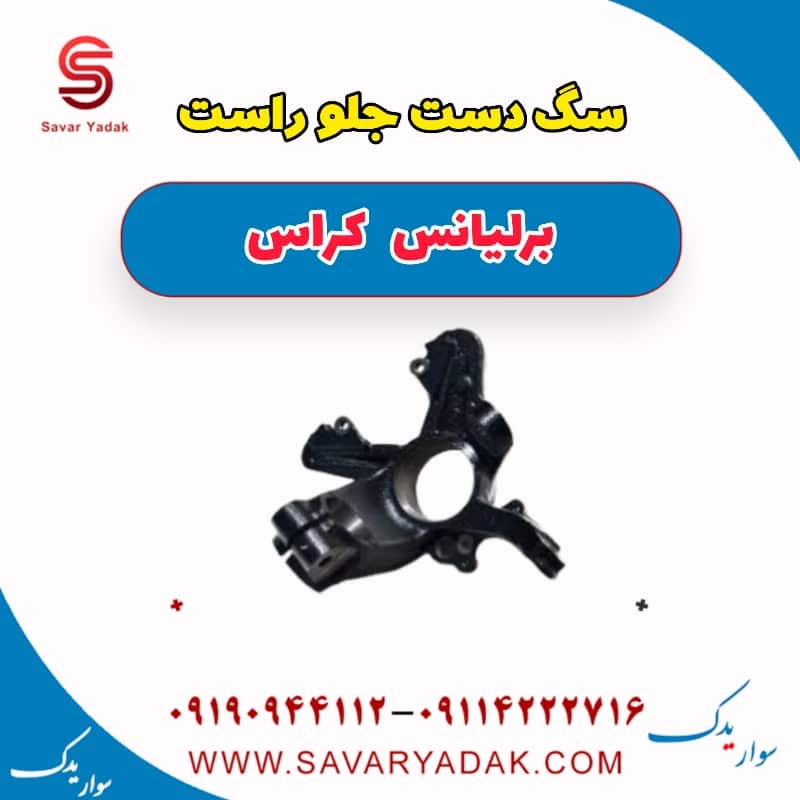سگ دست جلو راست برلیانس کراس
