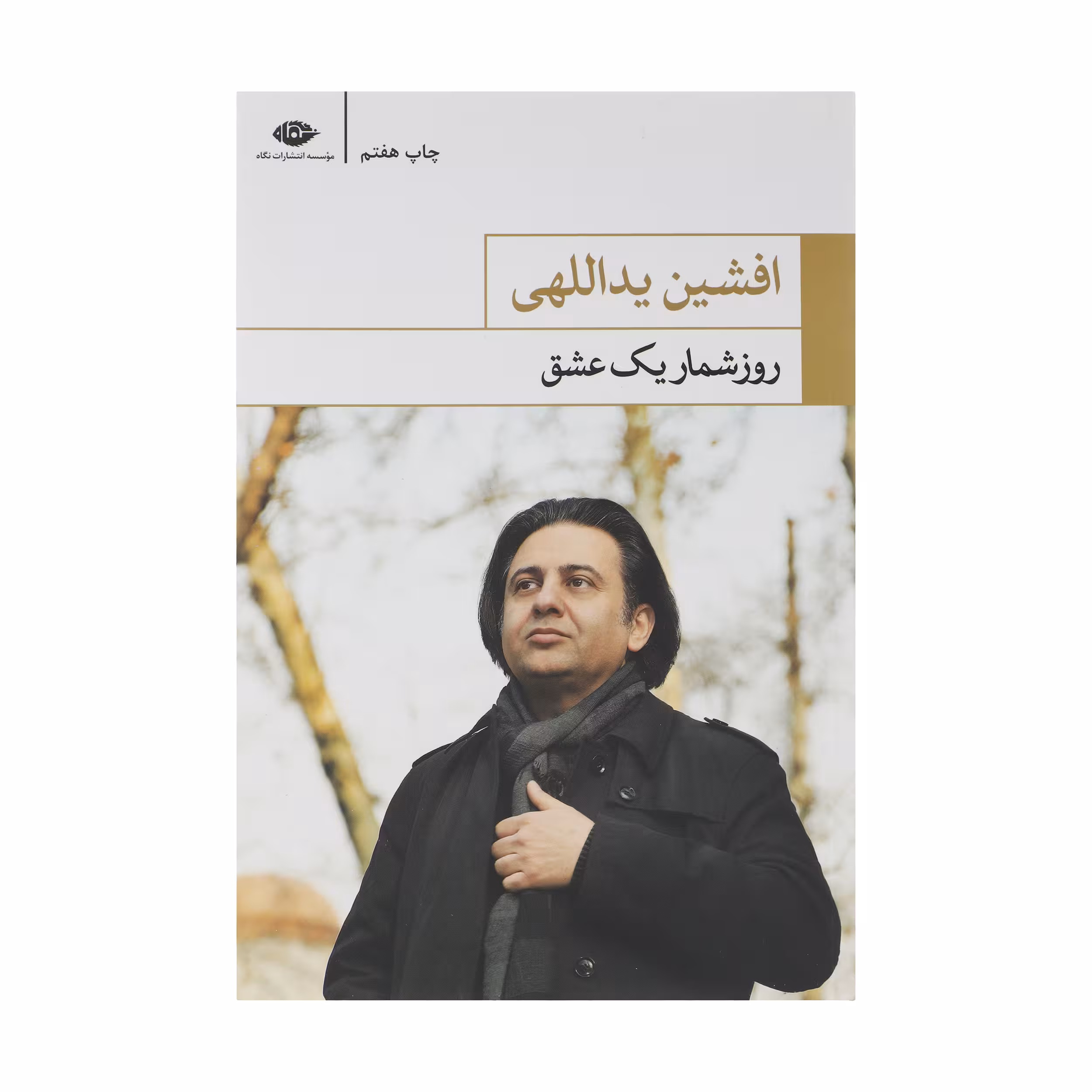 کتاب روزشمار یک عشق اثر افشین یداللهی انتشارات نگاه