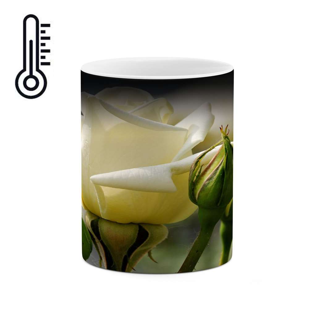 ماگ حرارتی کاکتی طرح گل مدل mgh15600