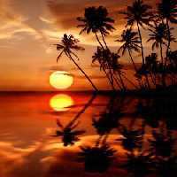 خرید و دانلود عکس Nature-Part-8 کد 37272 | پیک فاکس | Pic Fox