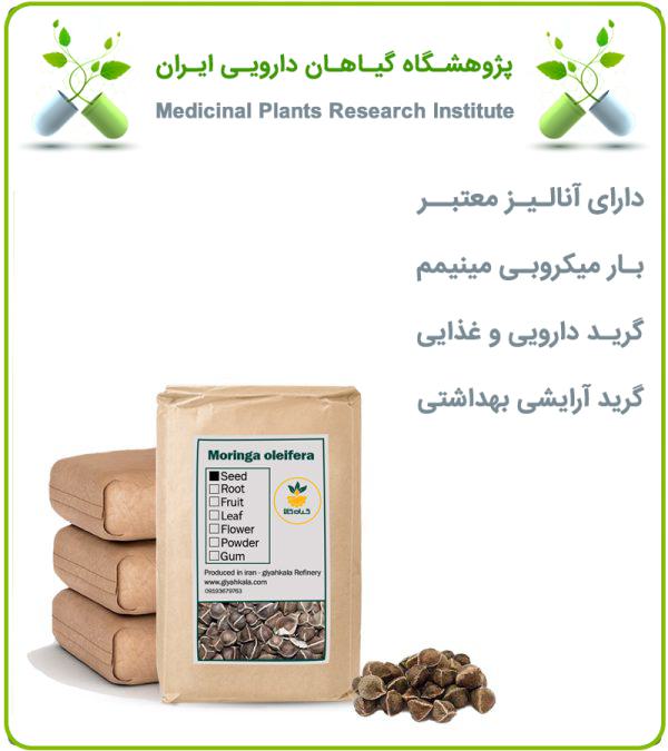 بذر مورینگا خشک فله