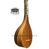 سه تار آبدارباشی ویژه همراه با کاور