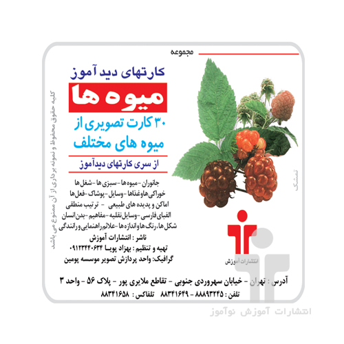 فلش کارت آموزشی دیدآموز میوه ها