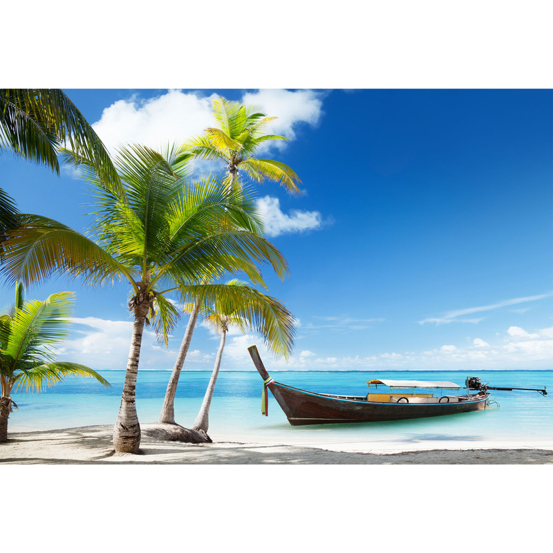 تابلو شاسی مدل ساحل و نخل و قایق و دریا T6874 | دنیای قاب